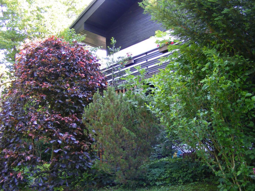 Guesthouse Marko Bled Exterior foto